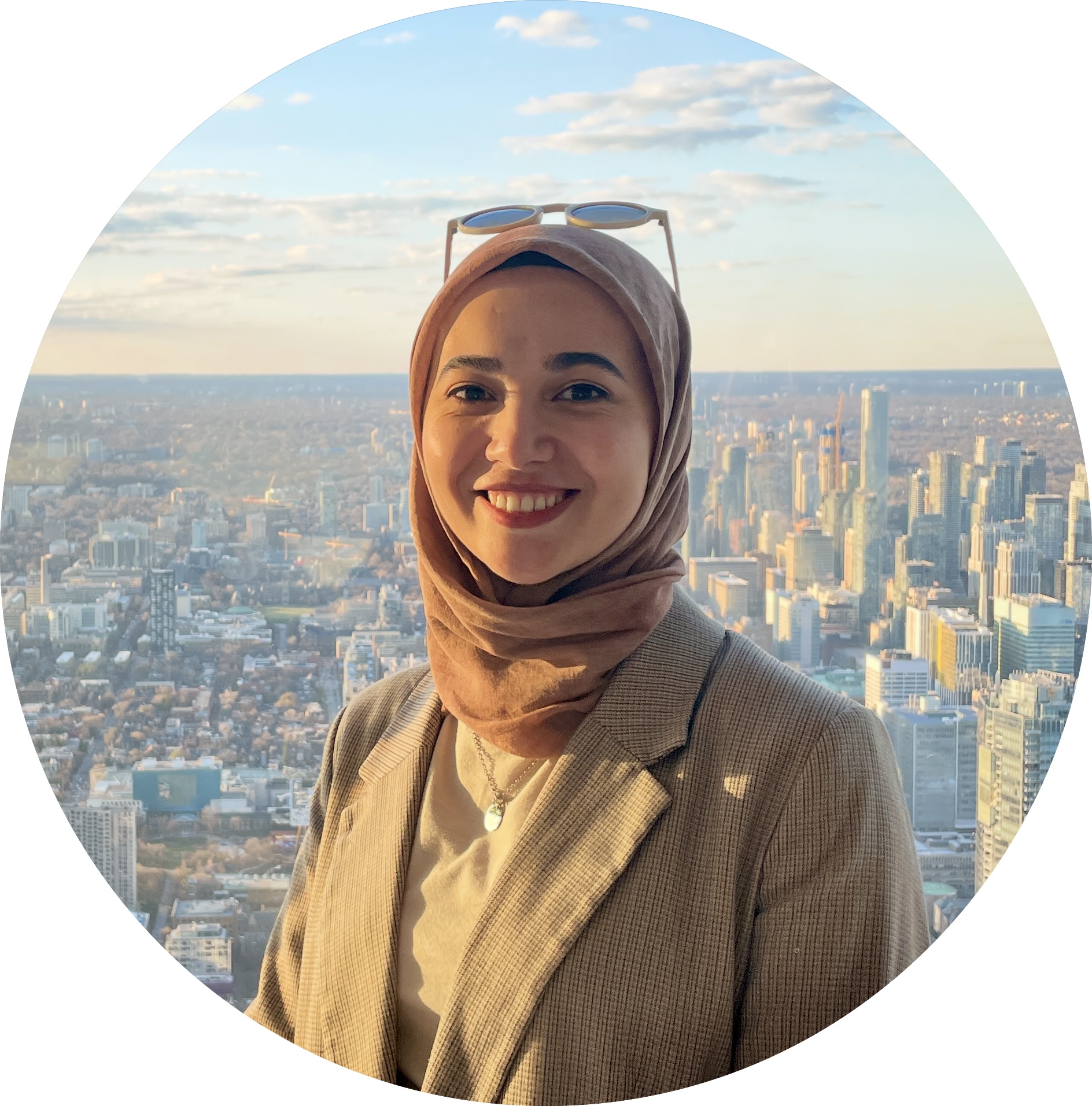 Büşra Tanrıverdi, Ph.D